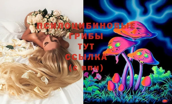 шишки Зеленокумск