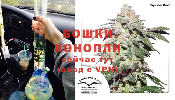 шишки Зеленокумск