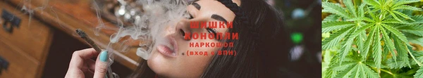 шишки Зеленокумск