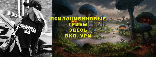 прущие крисы Заводоуковск