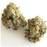 Шишки "White Widow"  (Белая вдова)  Гидропоника -  Бошка VHQ в Заволжске
